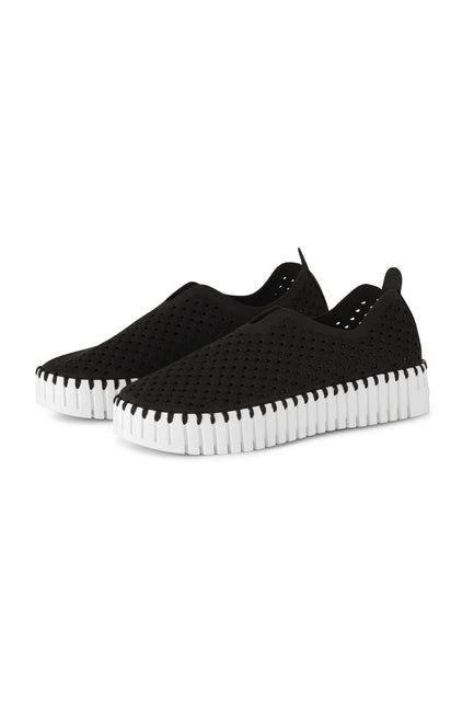Tulip Plateau Shoe